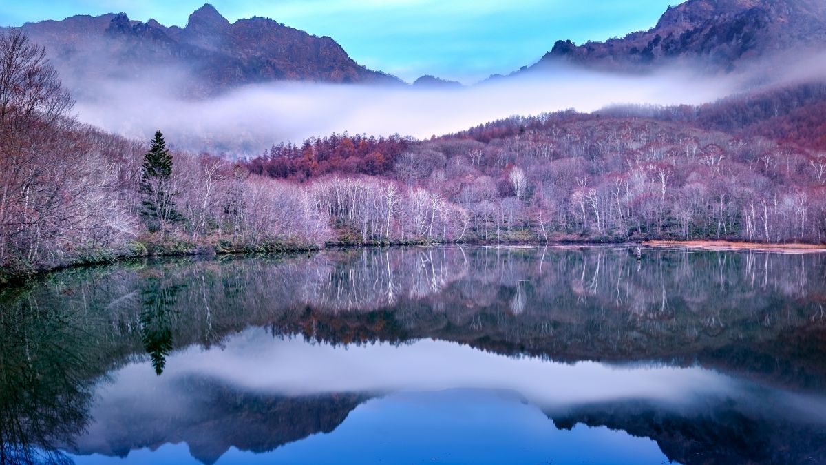 Canon EF 24-70mm F/2.8L 動作未確認・外観光学キレイ Canon EF 24-70mm