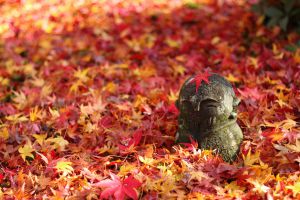 c1875f176c45d8be14ab432e86f7f7