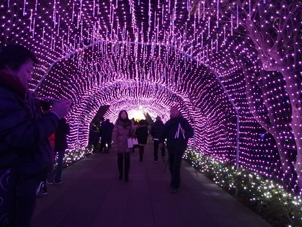 OLYMPUS STYLUS XZ-2レビュー】～その4 夜景撮影はどうだ？！ | GANREF