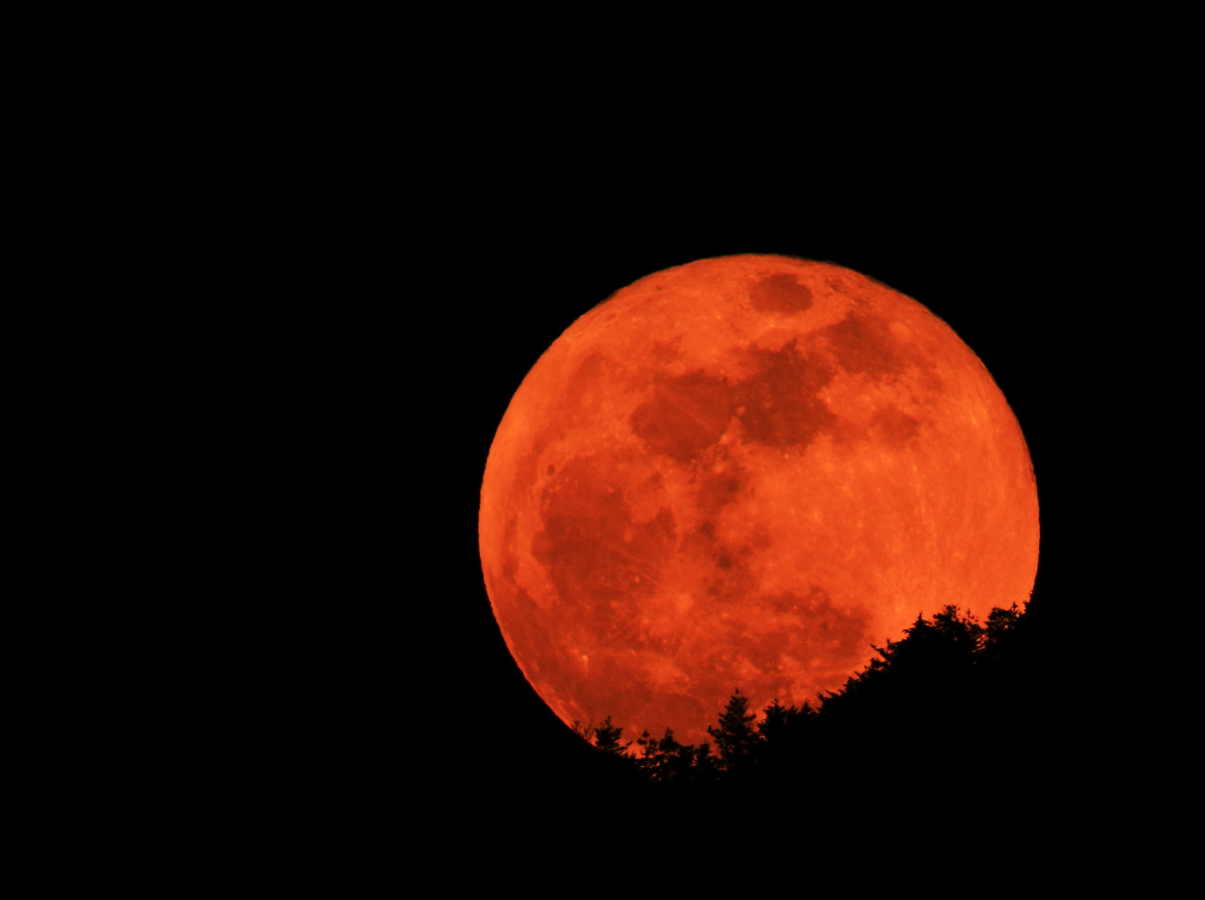 赤い月～Bloody Moon～ | GANREF