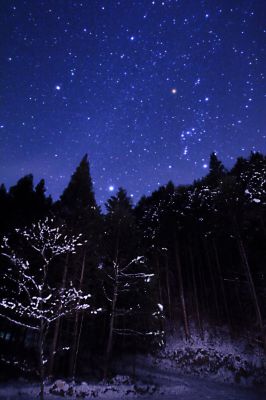 雪夜月 雪夜月Season4 FavoriteCelebrationModel 1.8L