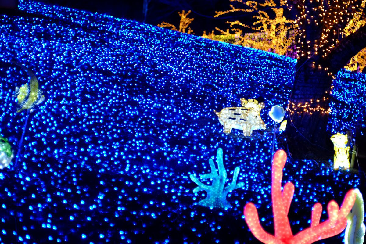 ロシアのキャンディーズ プロジェクターレンズ 街並み 建物 庭園 Ganref