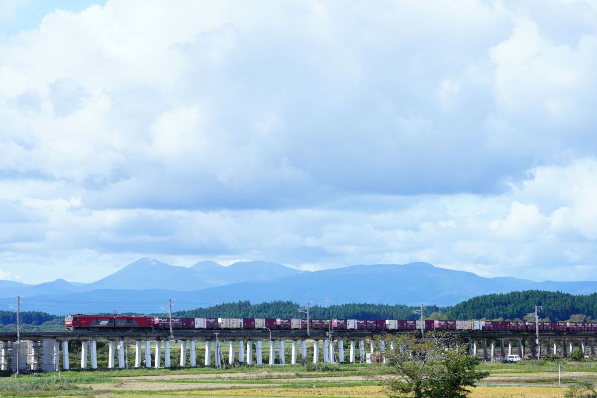 金太郎さん。 GANREF