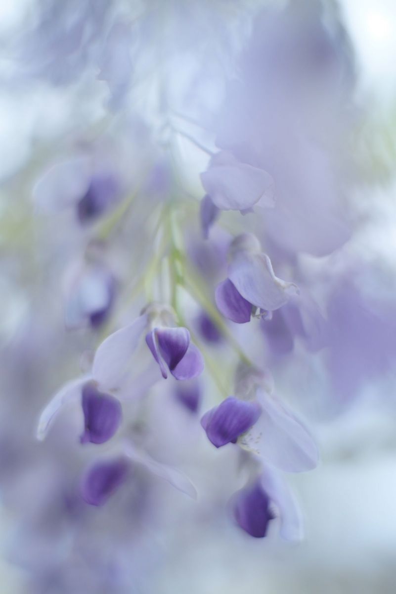 一点限り! プロトタイプ ZORKI ZK 5cm f2 単焦点 オールドレンズ 一点限り! プロトタイプ ZORKI ZK 5cm f2 単焦点 オールドレンズ