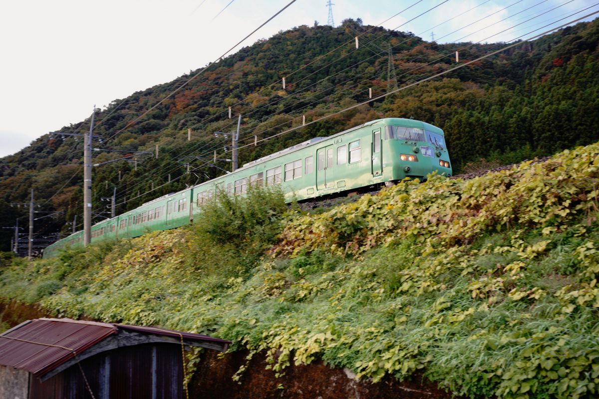 あんたが大将!。 GANREF