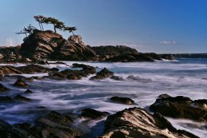 水彩画「荒崎海岸」 水彩画「荒崎海岸」