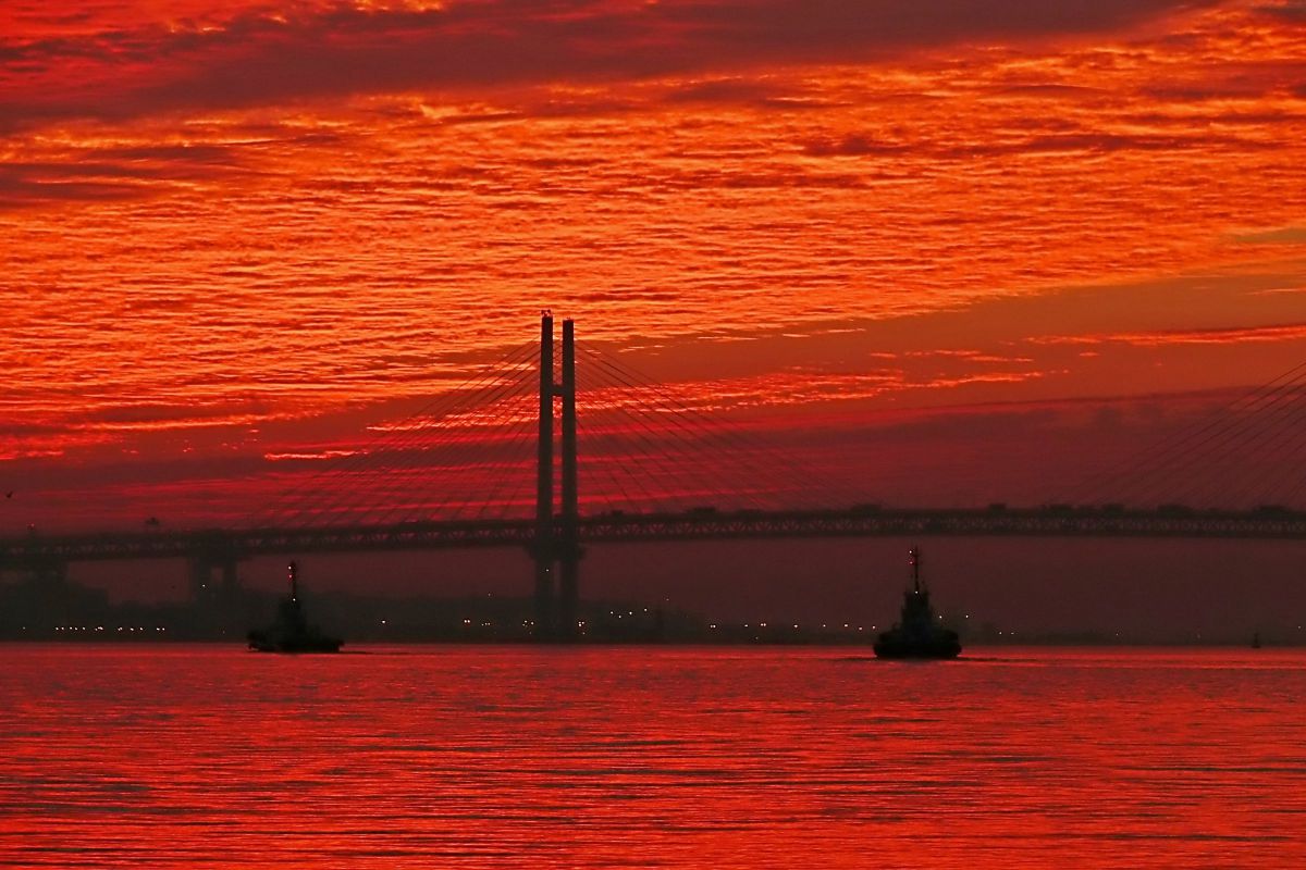 LUMIX DMC-FZ50で撮影された写真 | 写真検索 | GANREF