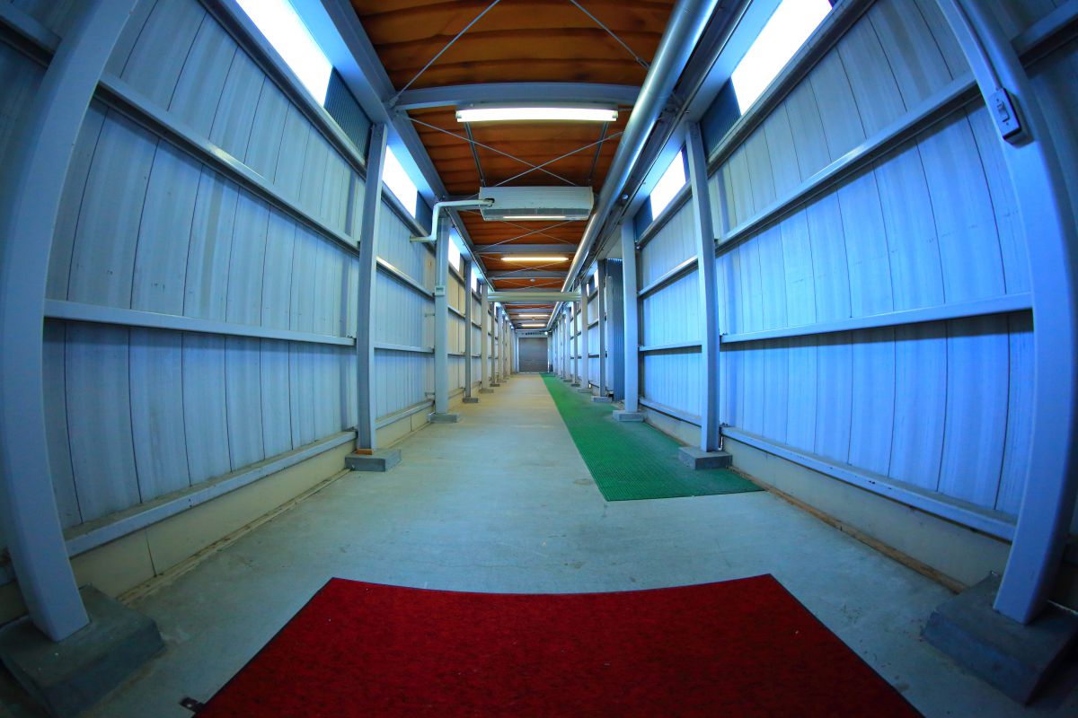 無機質な空間 街並み 建物 その他 Ganref