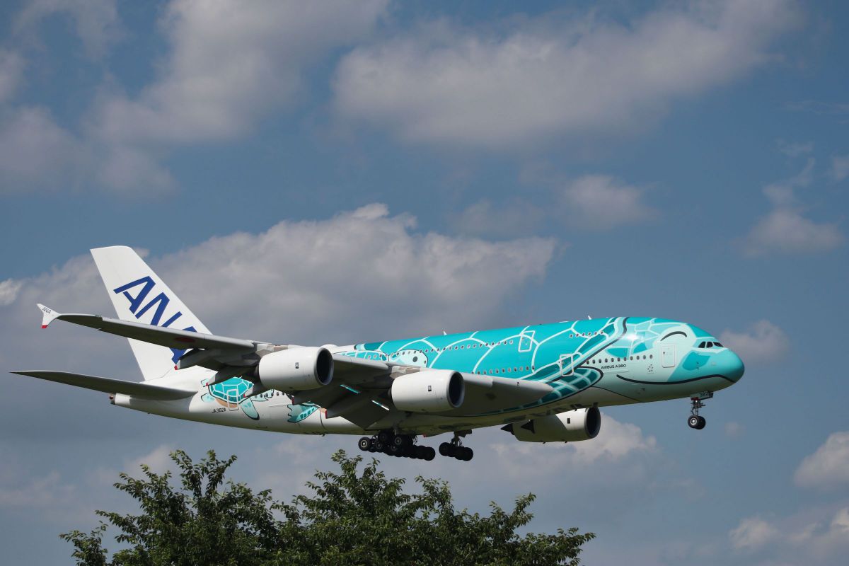 いつの日にか GANREF