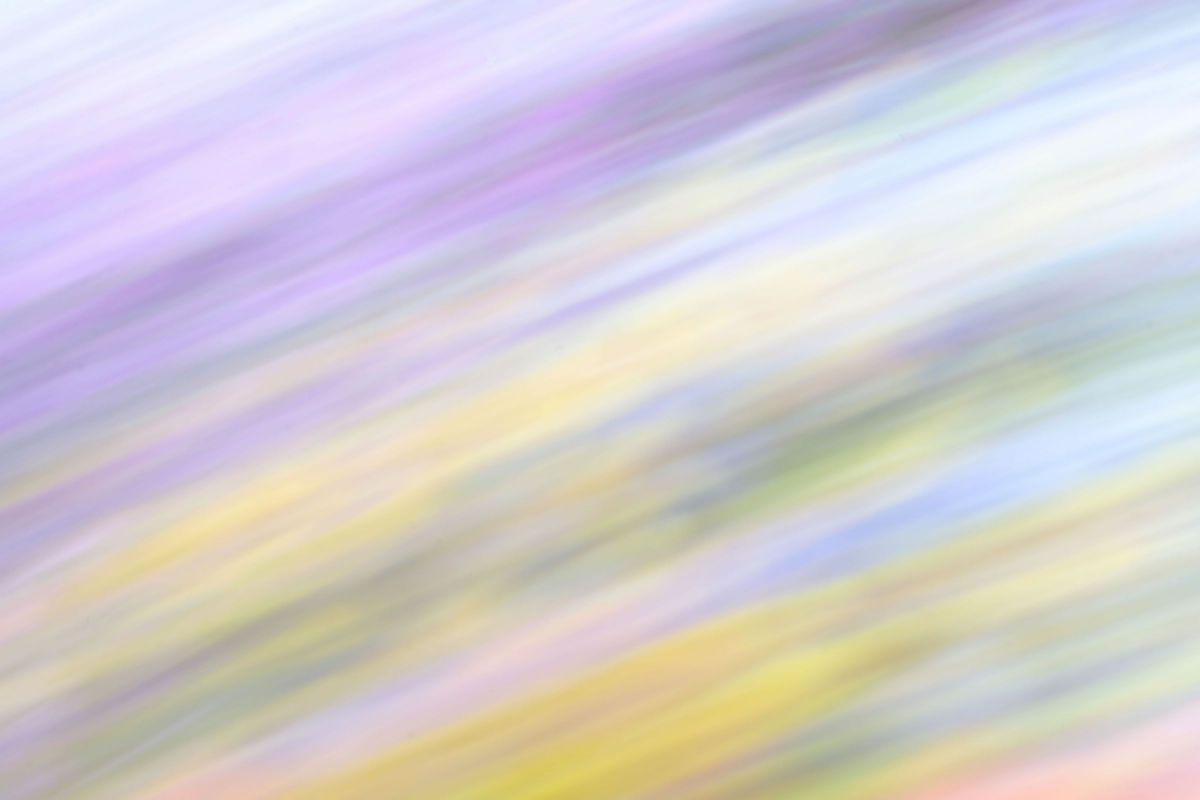 Spring color | GANREF