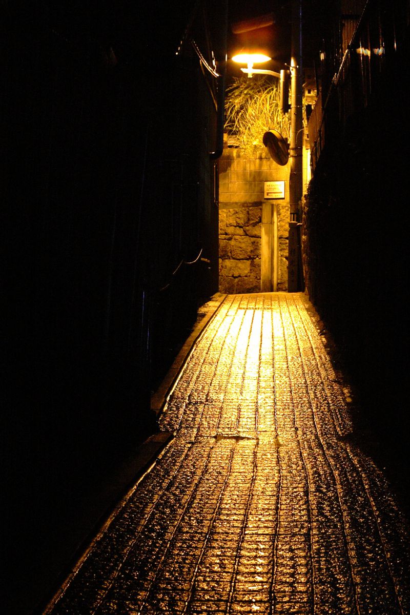 雨に濡れる夜の路地 街並み 建物 夜景 Ganref