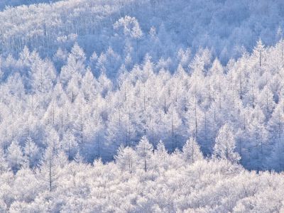 白一色の世界 | GANREF