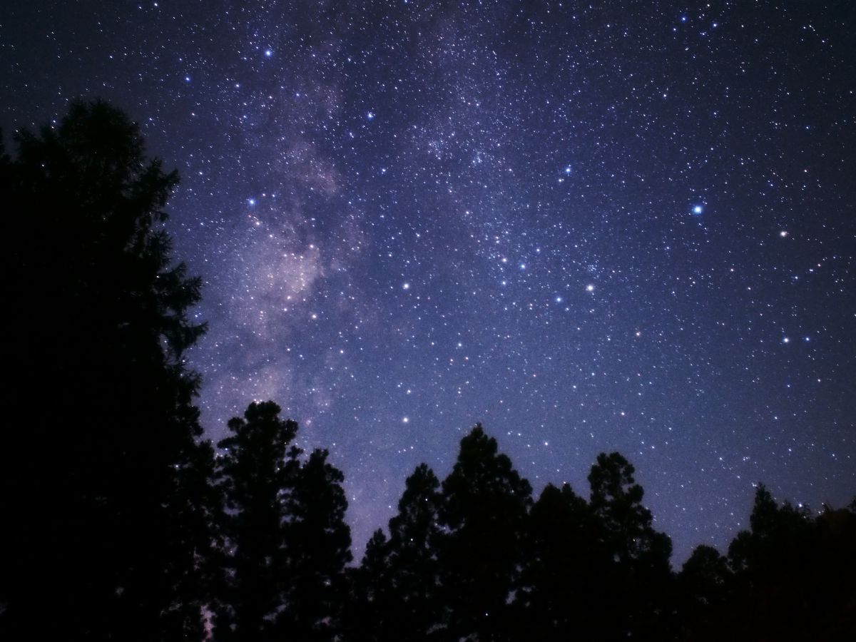 【親株出品】星空 04．17mmF1.8で星空を撮ってみる | GANREF