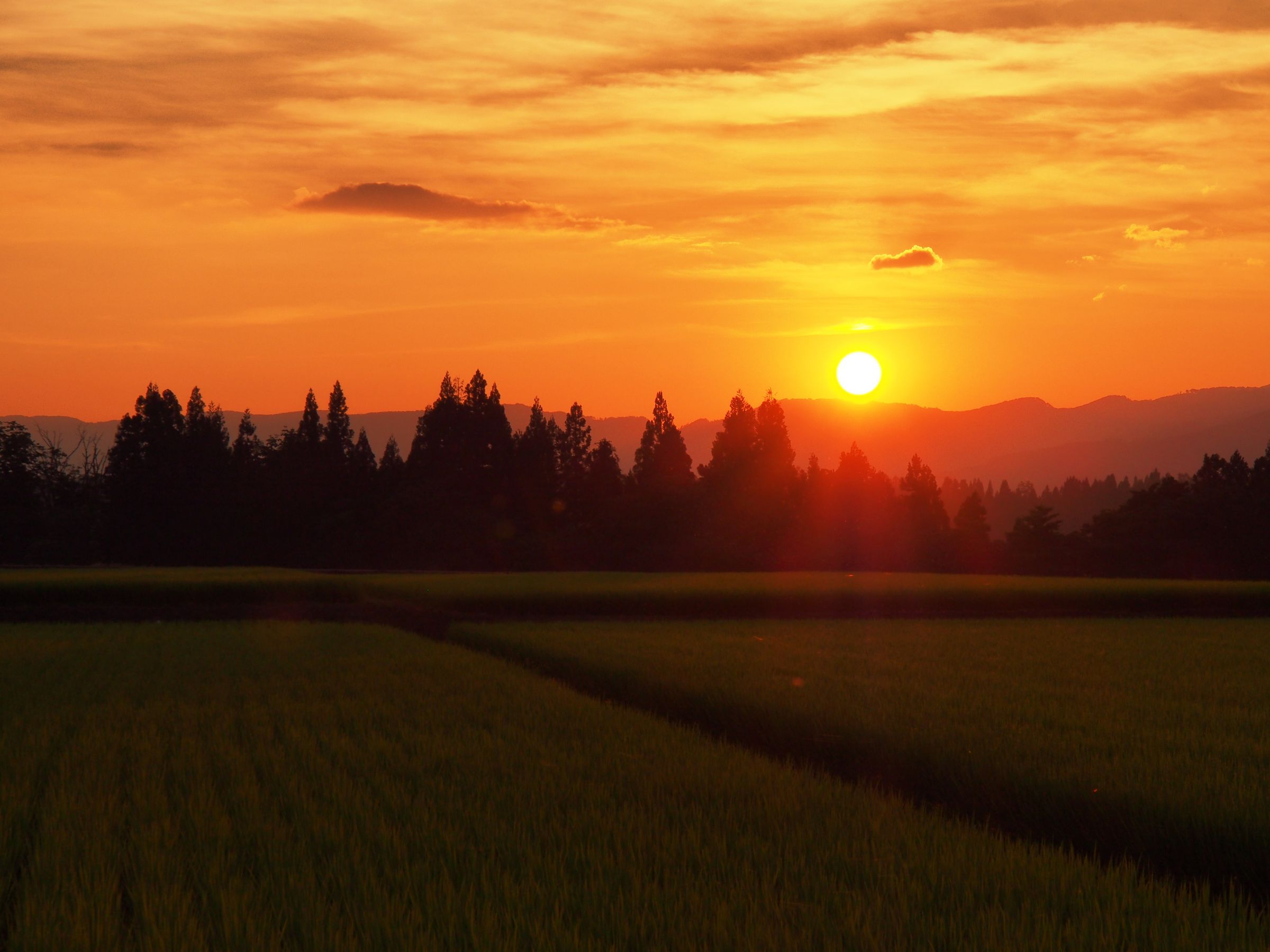 夕暮れ 里の夕暮れ | GANREF