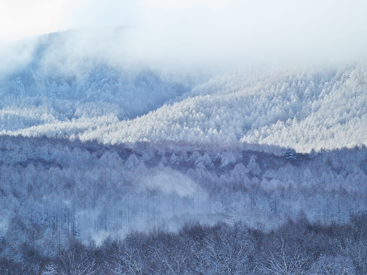 白一色の世界 自然 風景 高原 Ganref