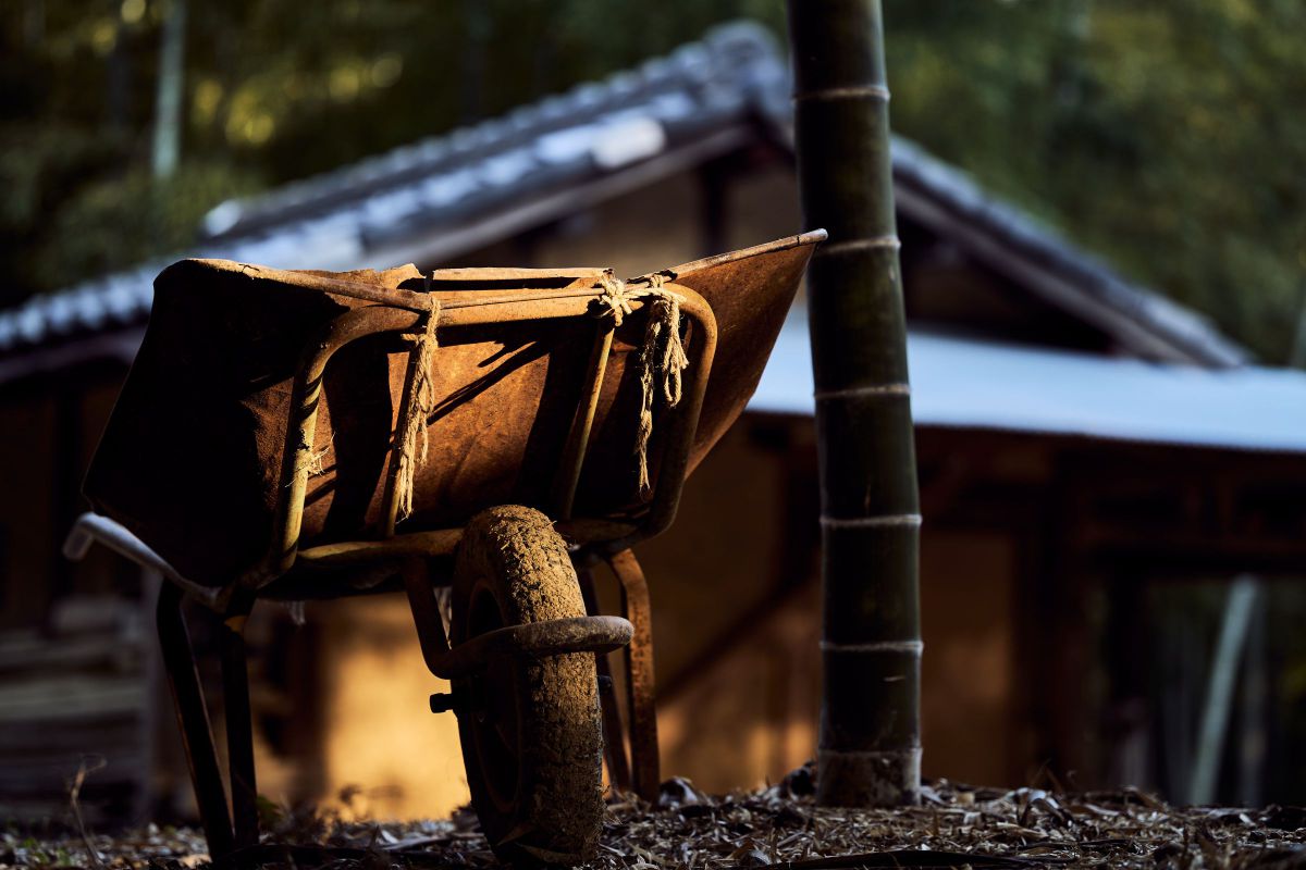 105mm F2.8 DG DN MACRO｜Artで撮影された写真 | 写真検索 | GANREF