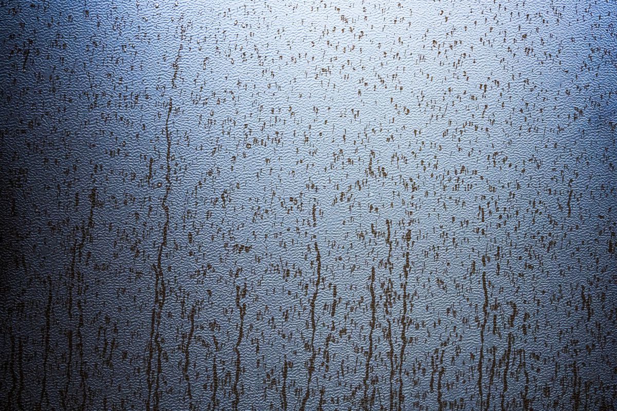 NIKKOR Z 28mm f/2.8 (SE)で撮影された写真 | 写真検索 | GANREF