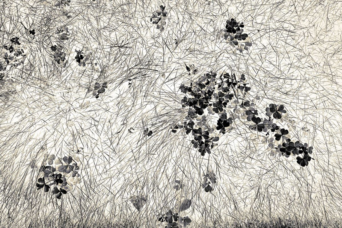 NIKKOR Z 28mm f/2.8 (SE)で撮影された写真 | 写真検索 | GANREF