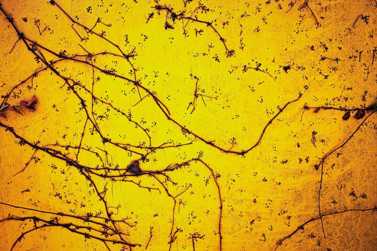 NIKKOR Z 28mm f/2.8で撮影された写真 | 写真検索 | GANREF