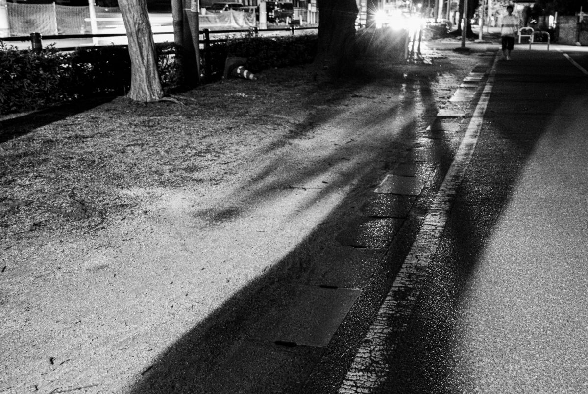 僕の進む道 GANREF