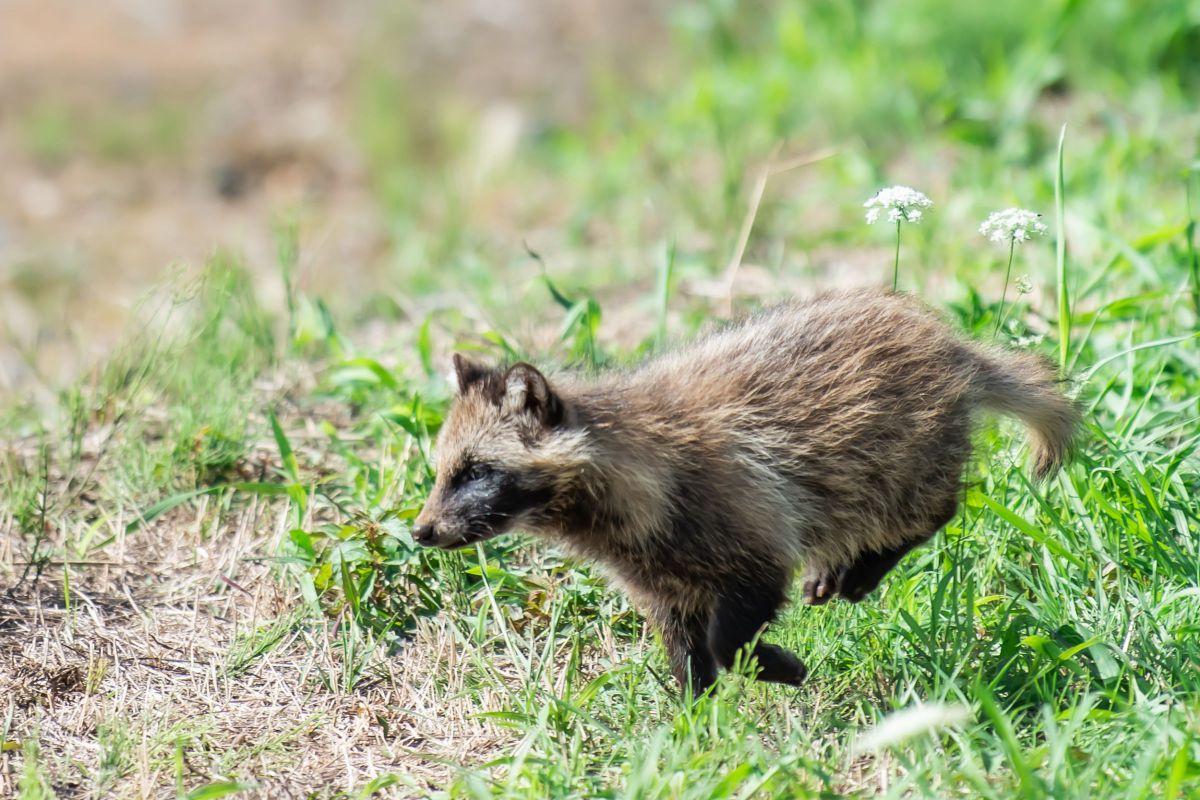 MDAwMDA2MDI2Mw_MC4yNDk5NTkwMCA