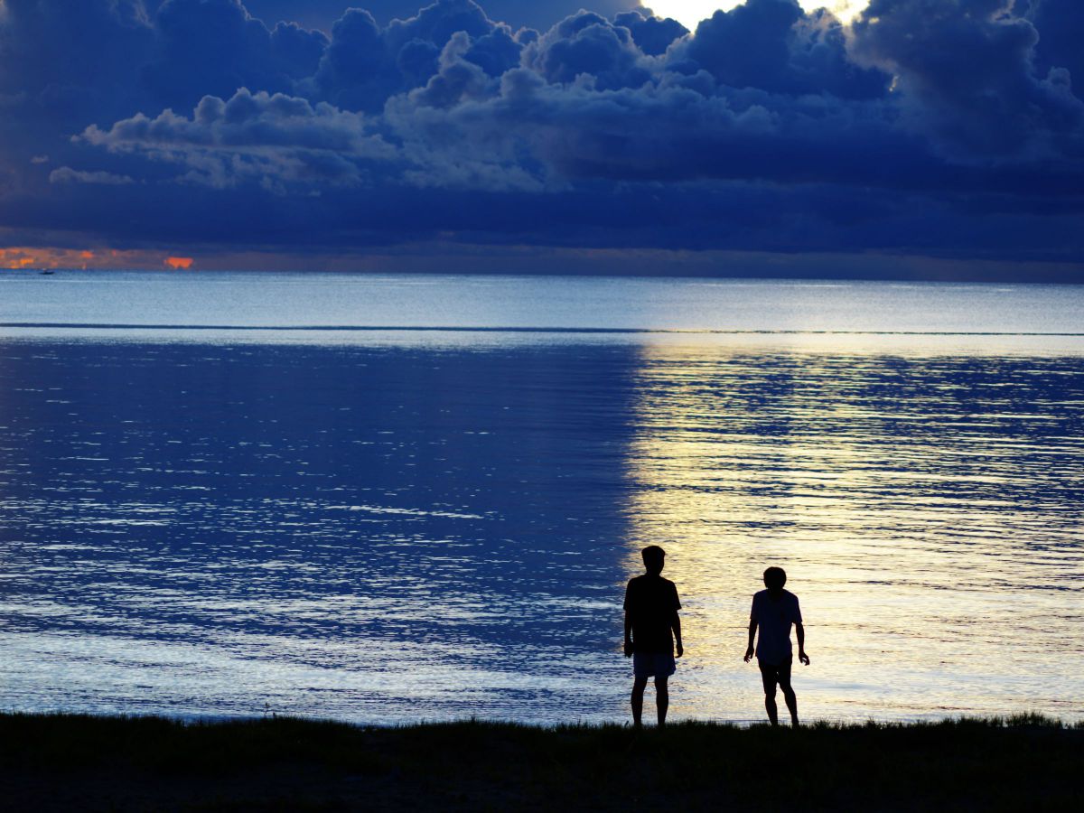 写真像 富士フイルム・新世代の完全無処理 CTP プレート「SUPERIA ZX