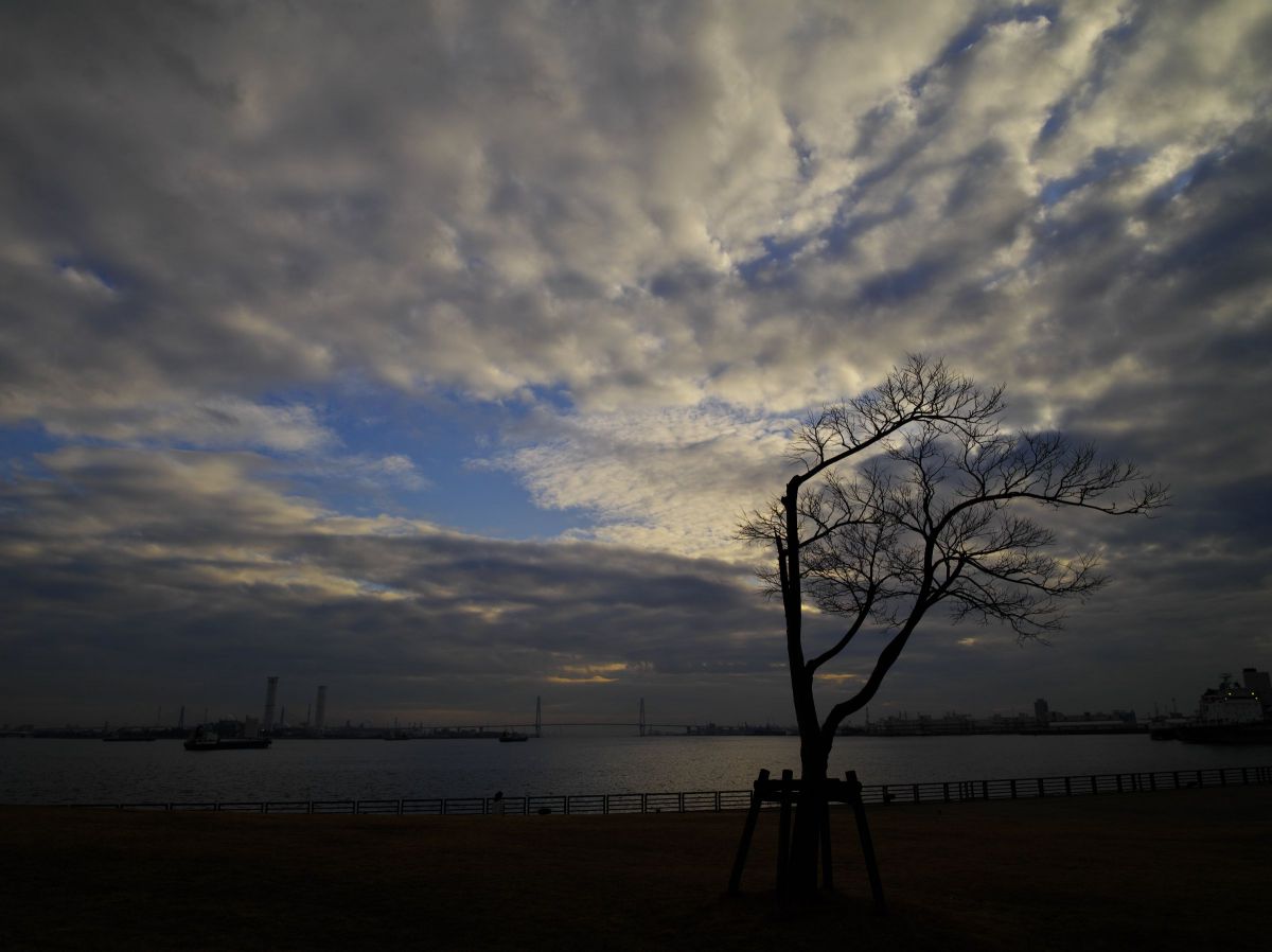 HD PENTAX-DA645 28-45mmF4.5ED AW SRで撮影された写真 | 写真検索 