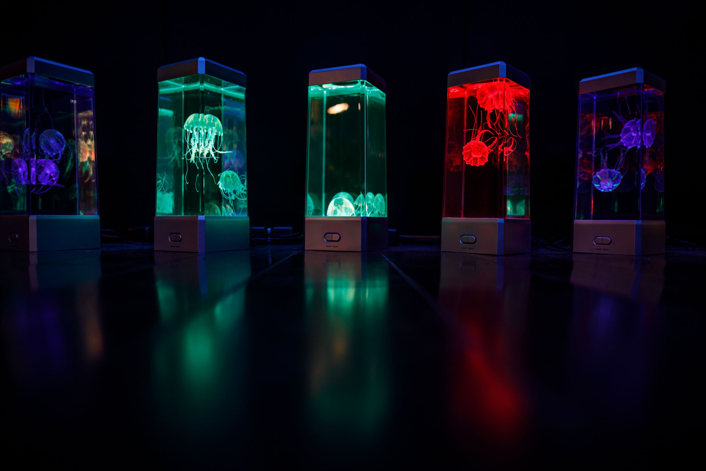 呼吸するくらげ Amazon | 【脳がとろける癒しのクラゲショー】ARTUS8 星降る