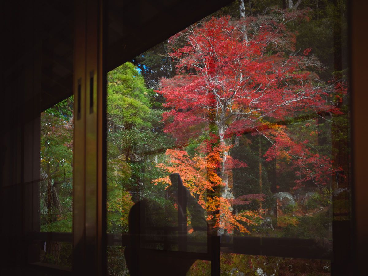 写真まとめ② X-H2: Landscape photography by Supalerk Narubetkraisee | X Stories