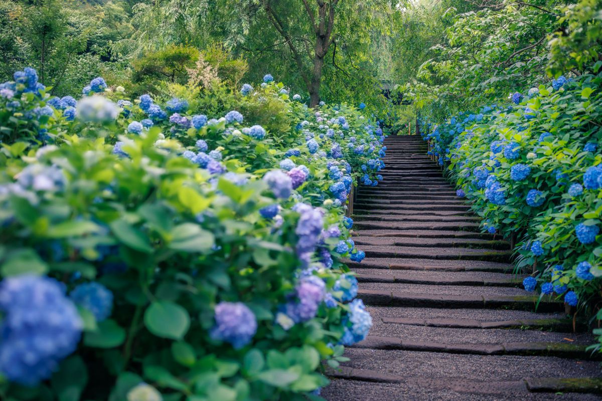 blue street | GANREF