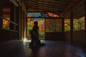 静寂の引力 | GANREF