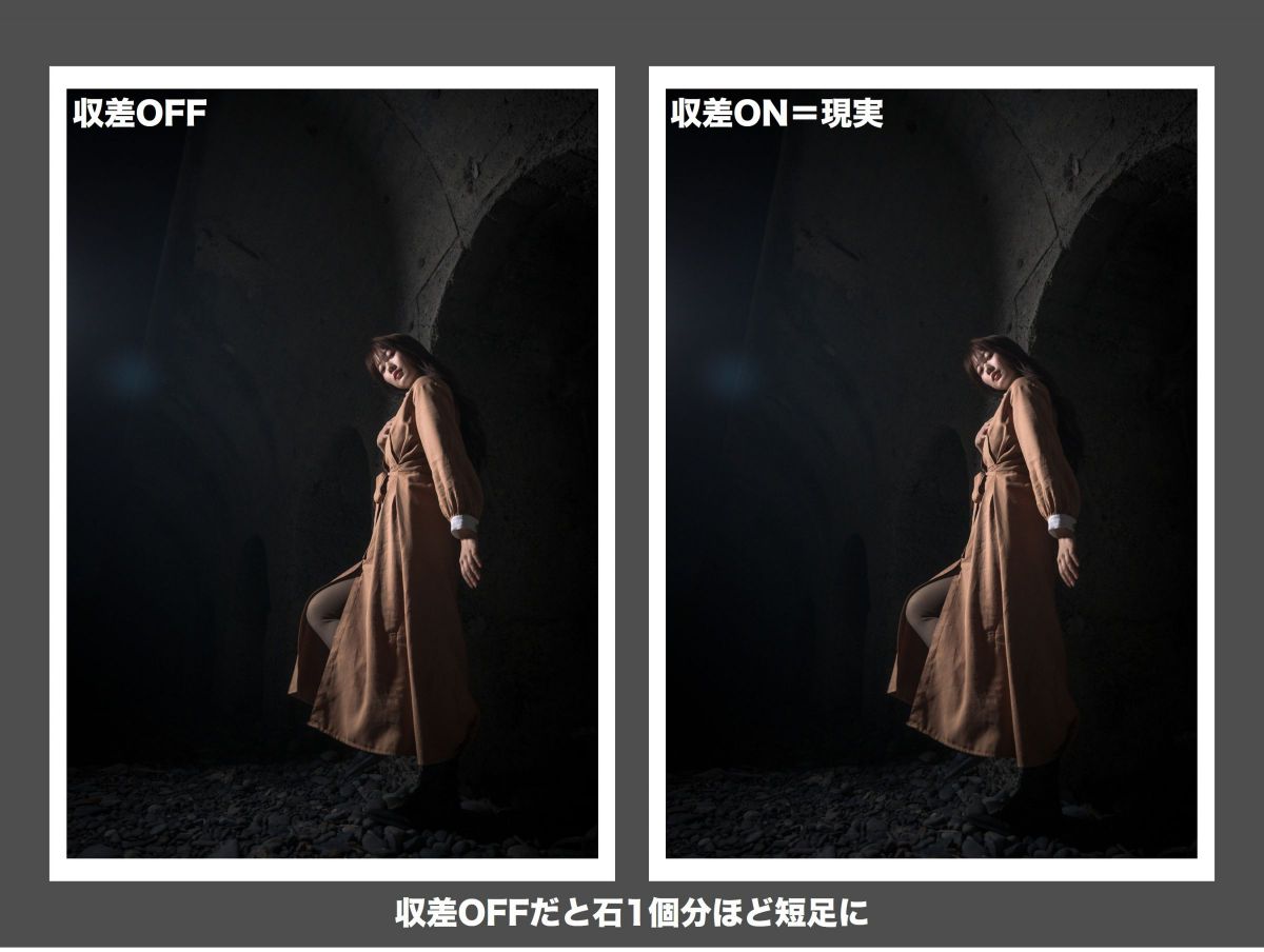 空の境界 メタルポートレート　4点 ニコン Z8 & NIKKOR Z 24-70mm f/2.8 S II（32）河野先生のポート