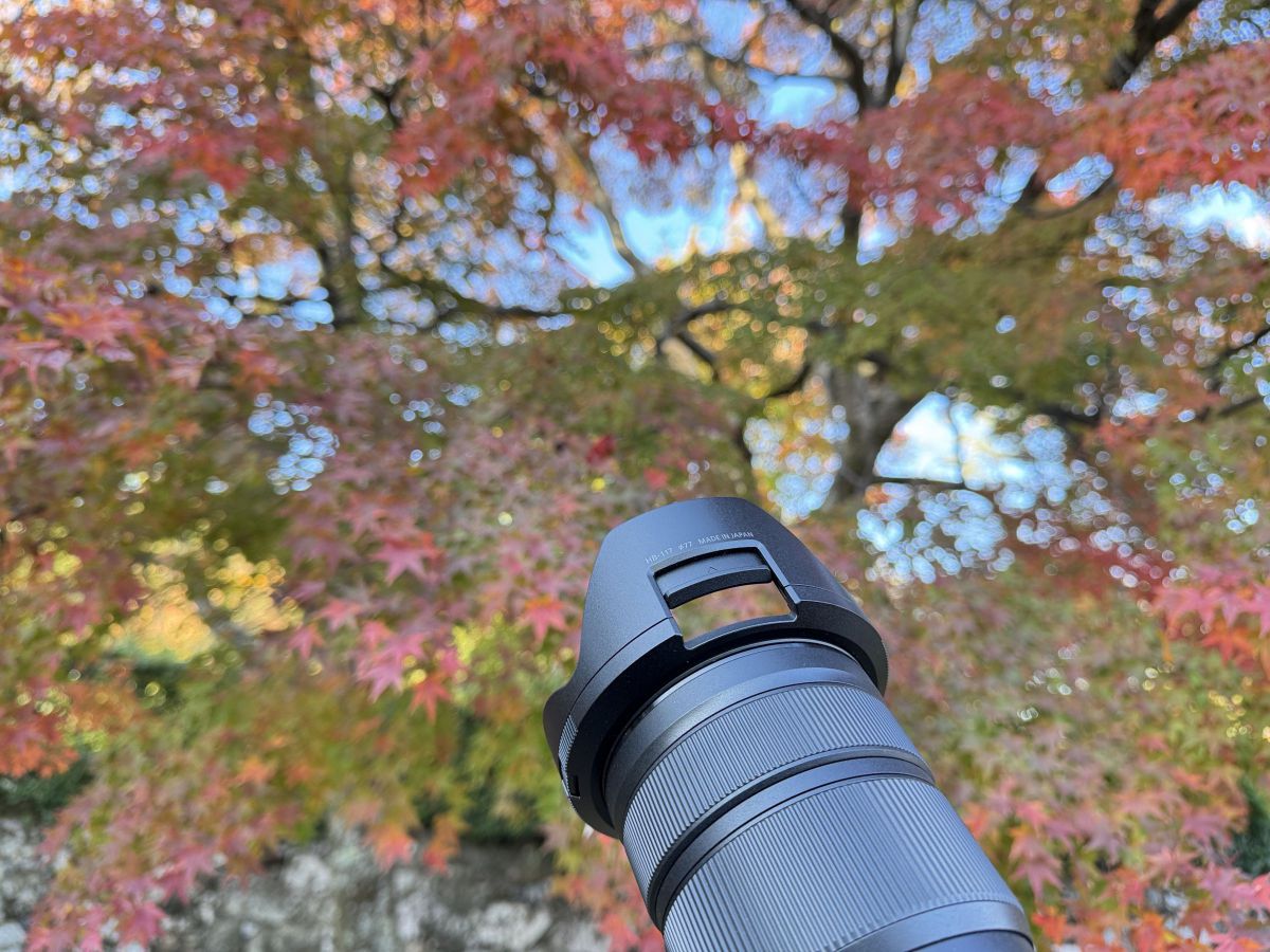 ニコン Z8 & NIKKOR Z 24-70mm f/2.8 S II（8）レンズフードの