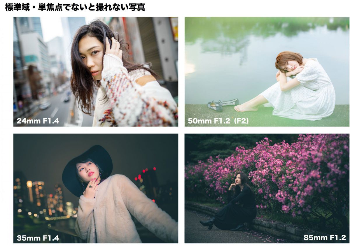 ニコン Z8 & NIKKOR Z 24-70mm f/2.8 S II（23）撮影会まとめ：Z24