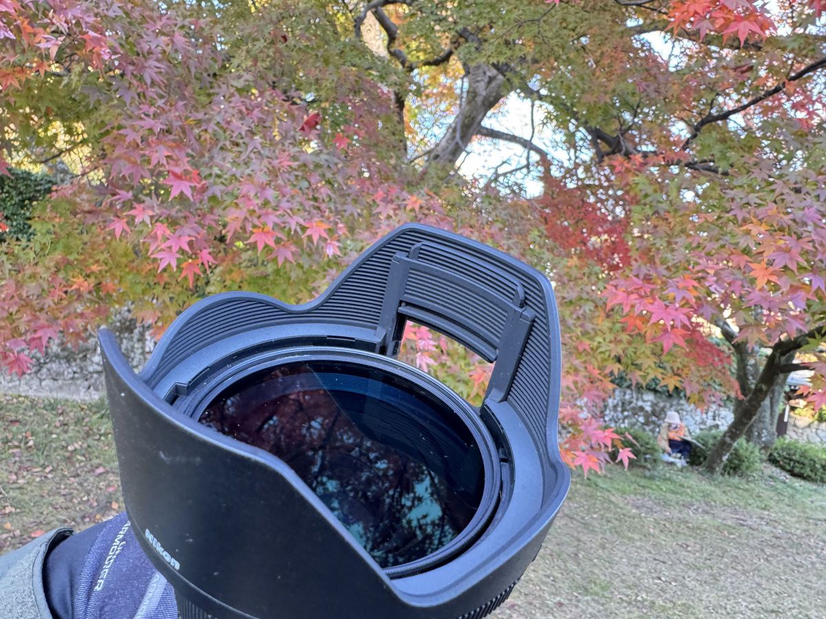 ニコン Z8 & NIKKOR Z 24-70mm f/2.8 S II（8）レンズフードの