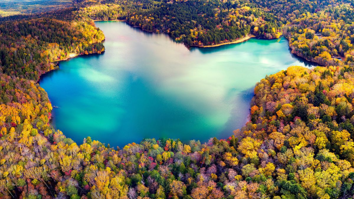 紅葉の北海道 ドローンによる空撮 | GANREF