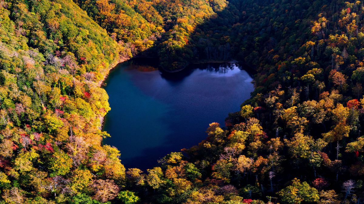 紅葉の北海道 ドローンによる空撮 | GANREF