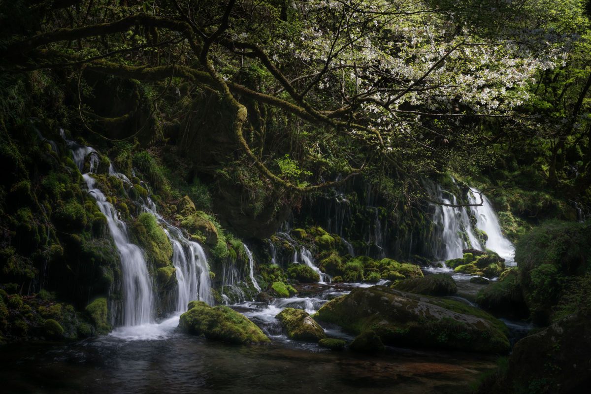 ニコン Z8 & NIKKOR Z 24-70mm f/2.8 S II］第九回「セミナー①風景