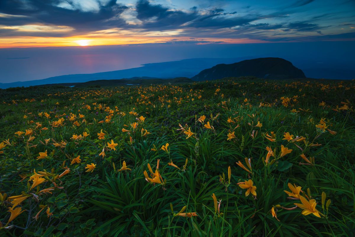 ニコン Z8 & NIKKOR Z 24-70mm f/2.8 S II］第十六回「風景写真、一本
