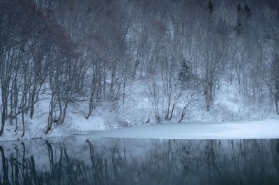 白銀の宿る池
