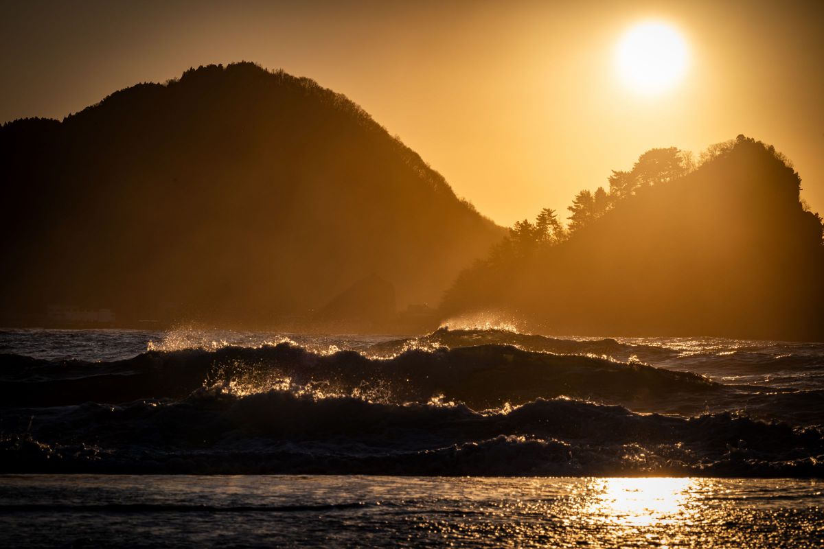 NIKKOR Z 180-600mm f/5.6-6.3 VRで撮影された写真 | 写真検索 | GANREF