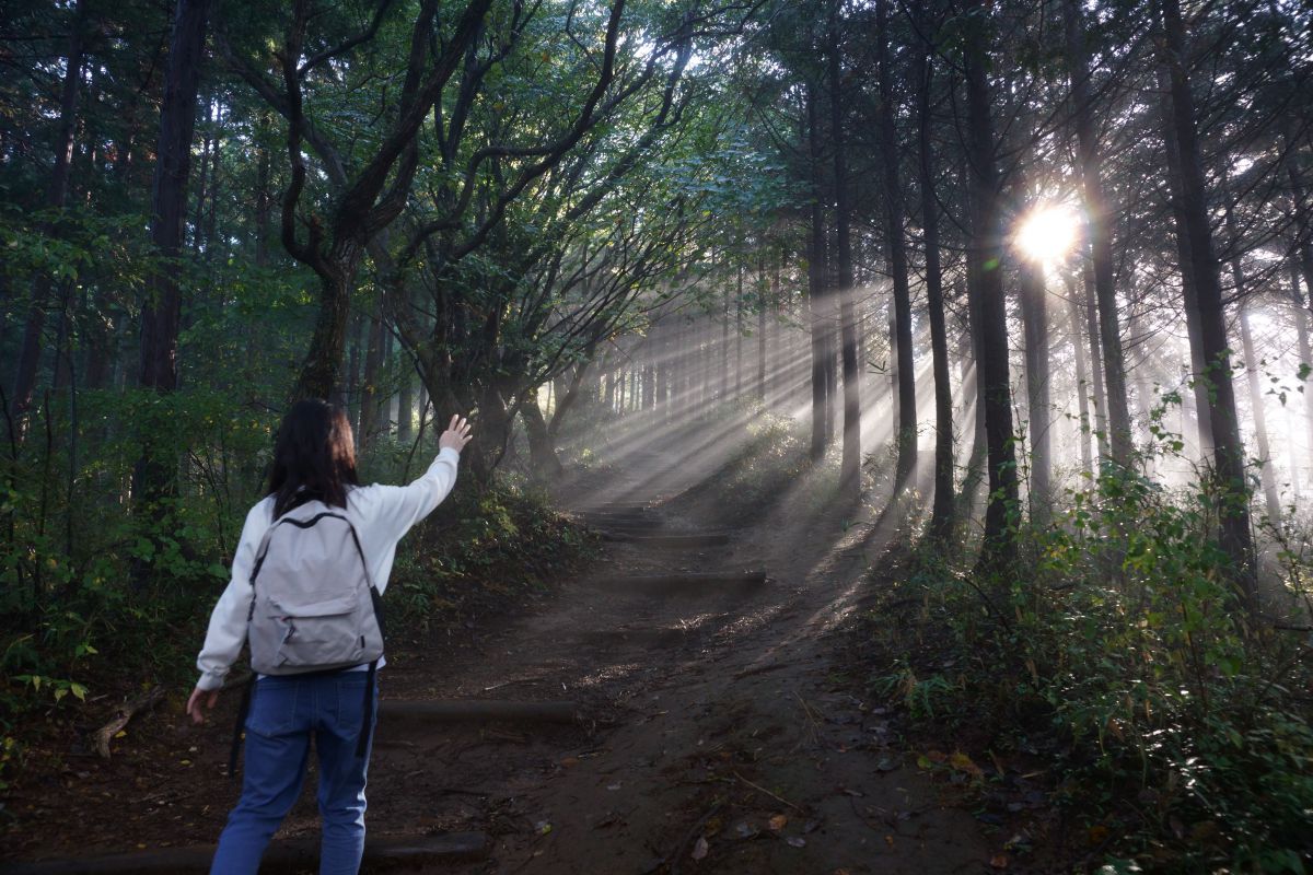 Vario-Sonnar T* 24-70mm F2.8 ZA SSM IIで撮影された写真 | 写真検索