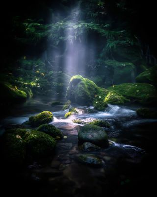 日本の夏・厳選風景16年【 風景写真 7-8月号　2007〜2022年】16冊 日本の夏・厳選風景16年【 風景写真 7-8月号 2007〜2022年】16冊