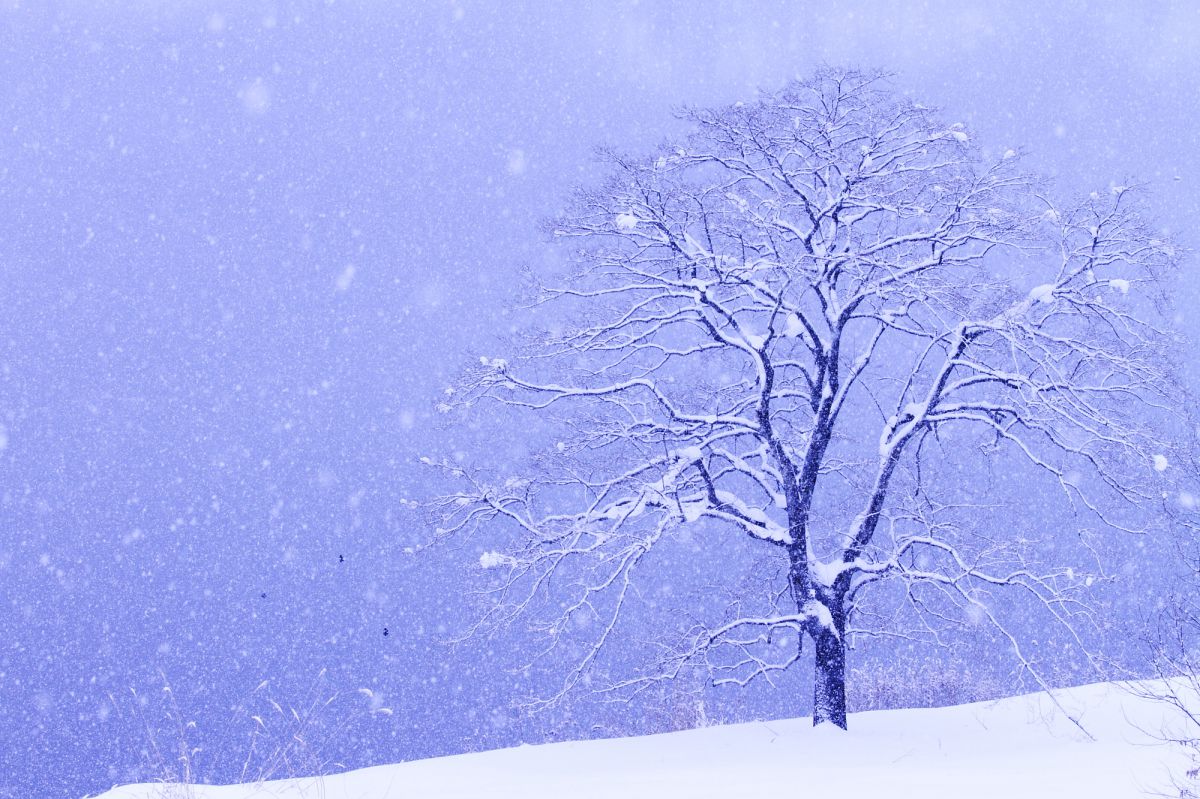雪降る湖畔 自然 風景 湖沼 Ganref 雪降る湖畔 自然 風景 湖沼 Ganref