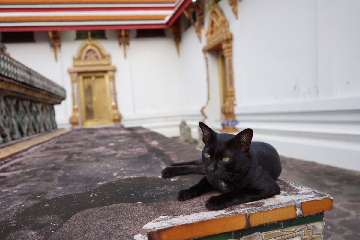 SIGMA 19mm F2.8 EX DNで撮影された写真 | 写真検索 | GANREF