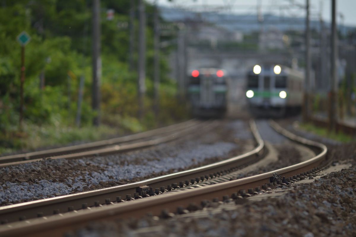 Ai AF Nikkor ED 300mm F4S（IF）で撮影された写真 | 写真検索 | GANREF 