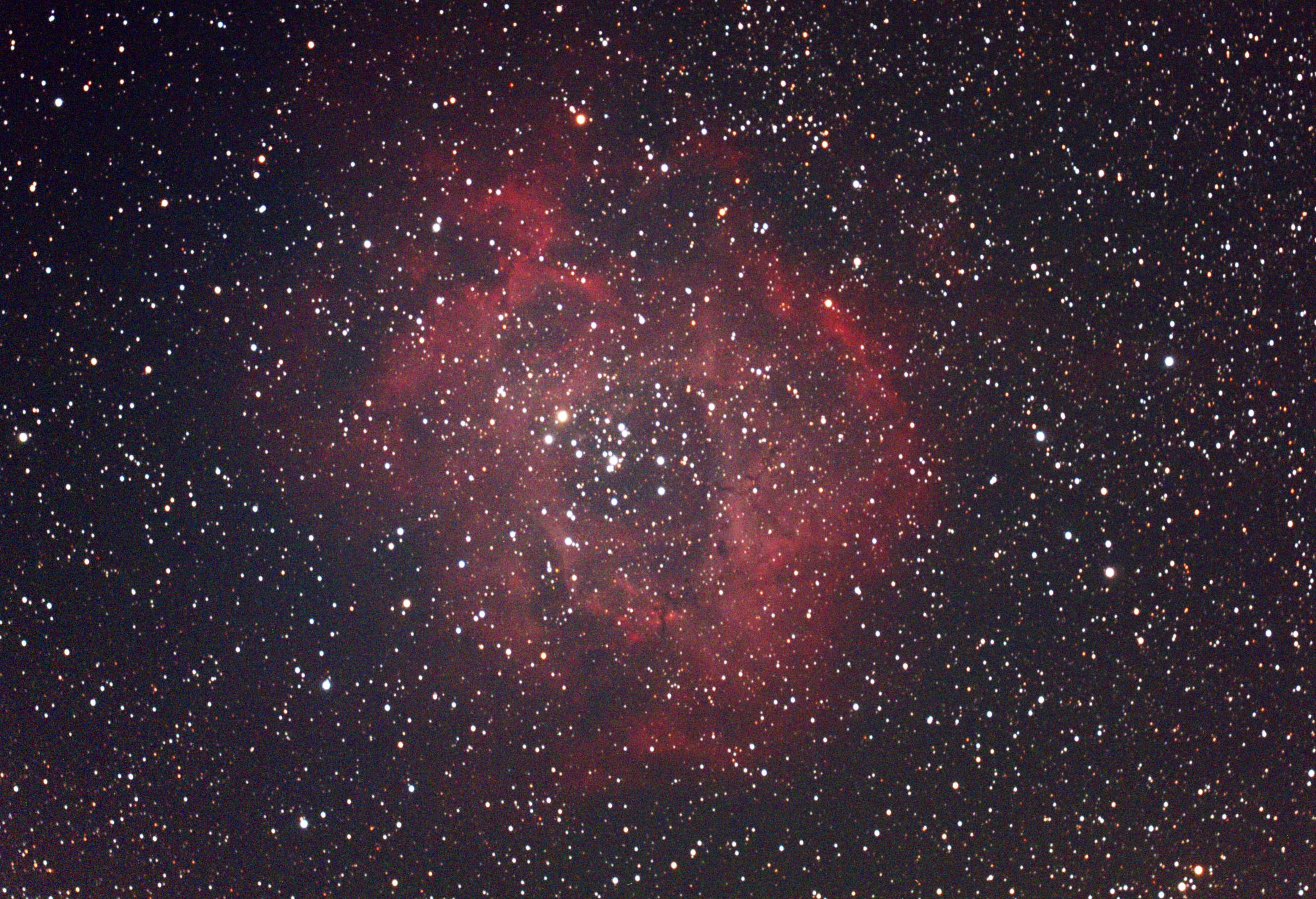 バラ星雲 | GANREF