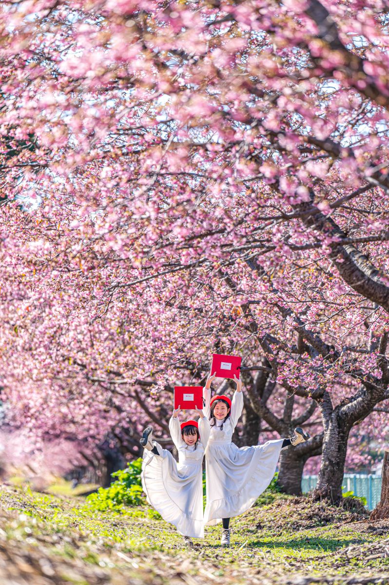 注目製品レビューニコンZ8&大三元レンズ【 風景・星景編】No.16 NIKKOR