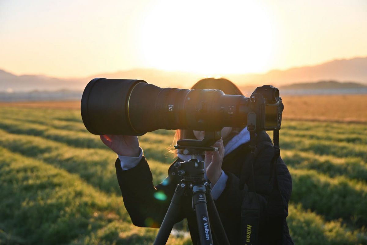 ニコン Z8&超望遠レンズレビュー【野鳥編】vol.13 400mm f/2.8は日の出