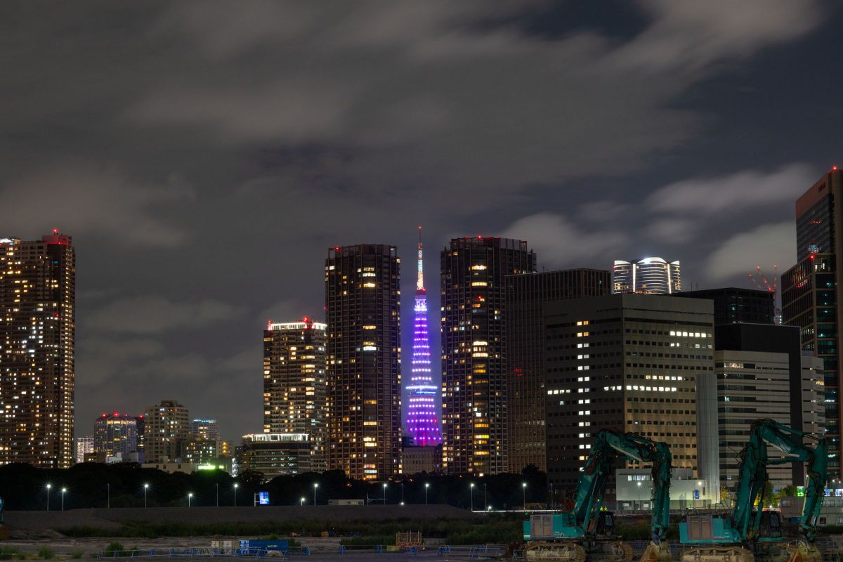 景色の写真 マゼノの秋. .｡.ﾟ°:｡ . . . 葉っぱは並べてません . 📷 Nikon Z8 Lens